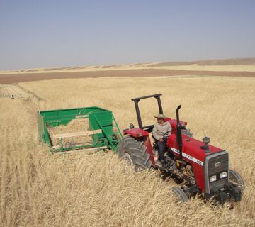 دروگر گندم و جو